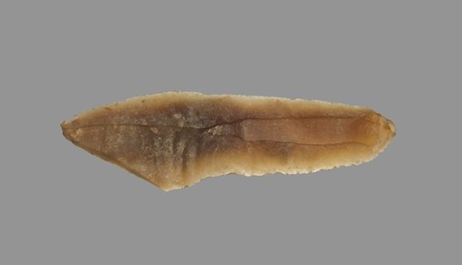 Sickle Blade