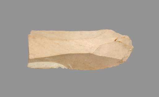 Sickle Blade