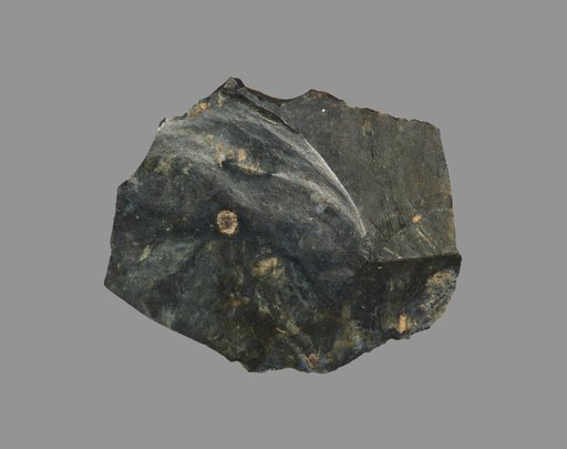 Sickle Blade
