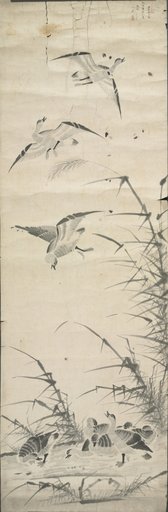Wild Geese and Reeds