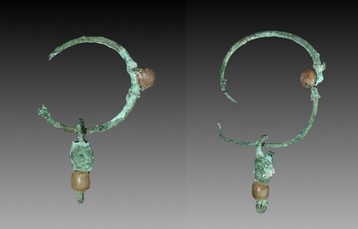 Pair of Earrings