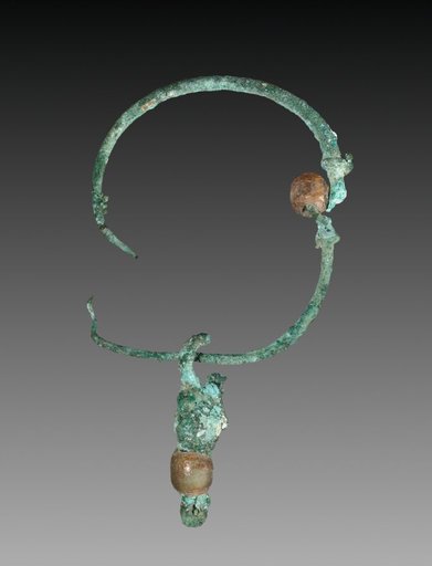 Earring