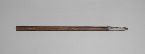 Crossbow Bolt