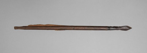 Crossbow Bolt