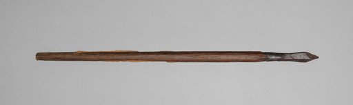 Crossbow Bolt