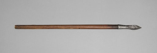 Crossbow Bolt