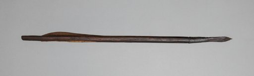 Crossbow Bolt