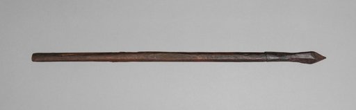 Crossbow Bolt