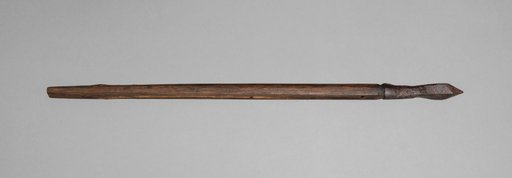 Crossbow Bolt