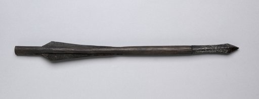 Crossbow Bolt