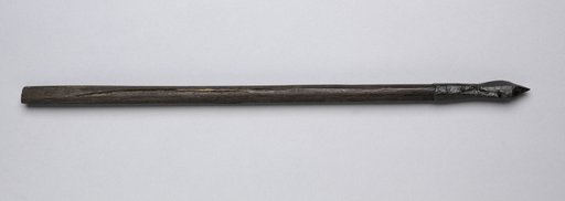 Crossbow Bolt
