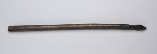Crossbow Bolt
