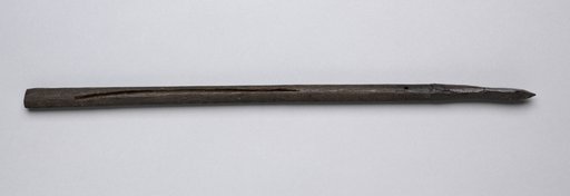 Crossbow Bolt
