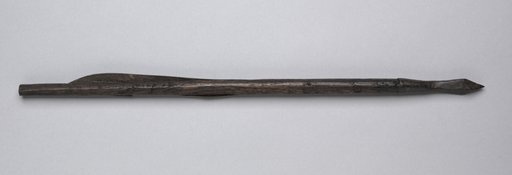 Crossbow Bolt