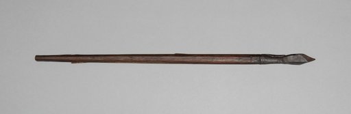 Crossbow Bolt