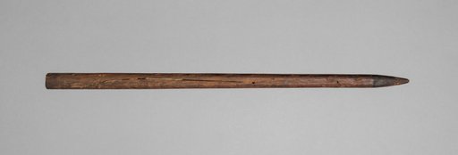 Crossbow Bolt