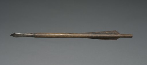 Crossbow Bolt