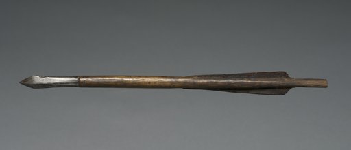 Crossbow Bolt