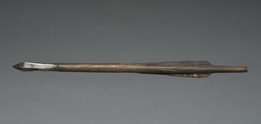 Crossbow Bolt