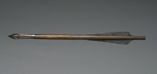 Crossbow Bolt