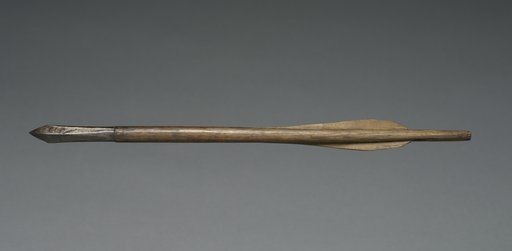 Crossbow Bolt