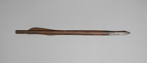 Crossbow Bolt
