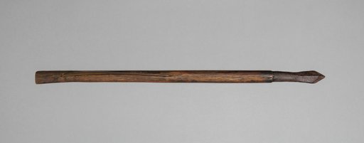 Crossbow Bolt