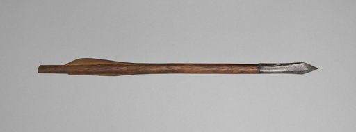 Crossbow Bolt