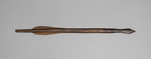 Crossbow Bolt