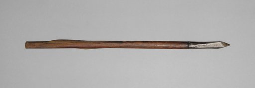 Crossbow Bolt