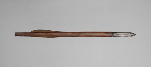 Crossbow Bolt