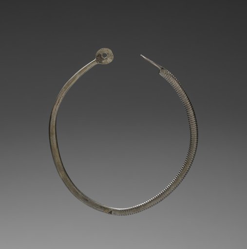 Nose Ring (?)