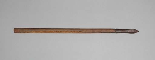Crossbow Bolt