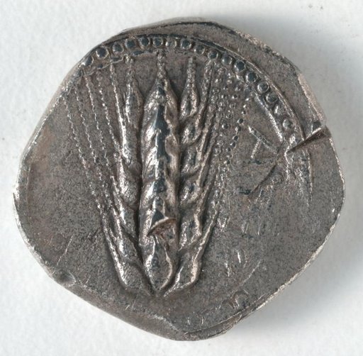 Stater: Barley (obverse)