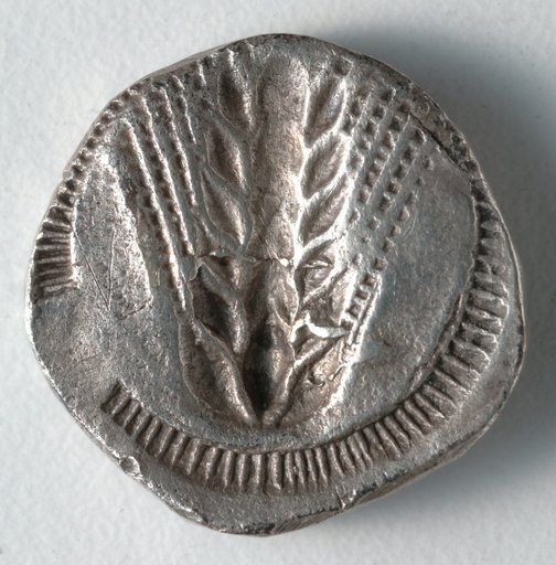 Stater: Barley, Incuse (reverse)
