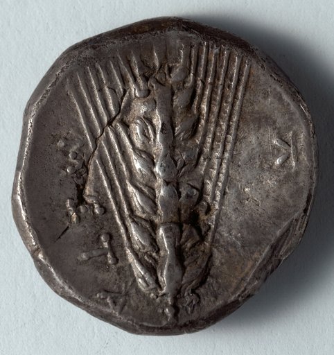 Stater: Barley (reverse)