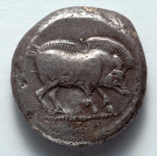 Stater: Boar (obverse)