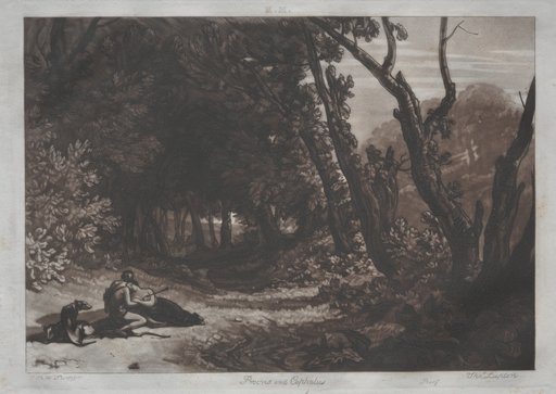 Procris and Cephalus