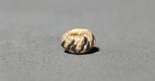 Miniature Round Basket