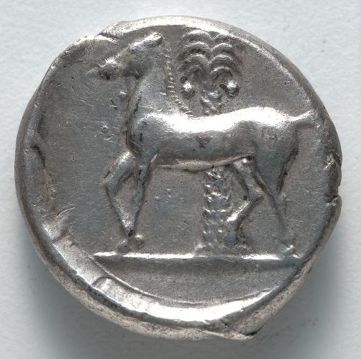 Tetradrachm: Horse (reverse)