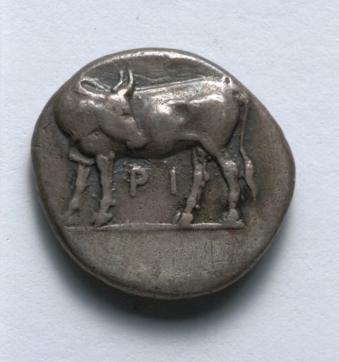 Hemidrachm: Bull, looking back (reverse)