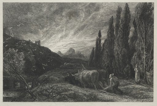 The Early Plowman