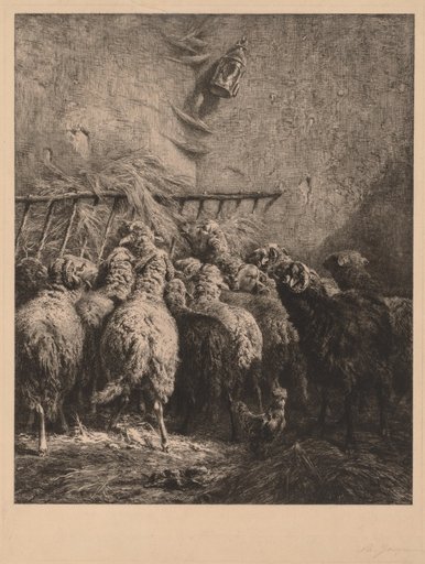 Sheep Enclosure in Béarn