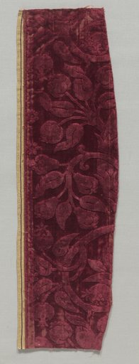 Fragment with Floral Pattern