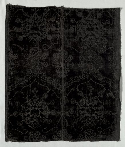 Velvet Fragment
