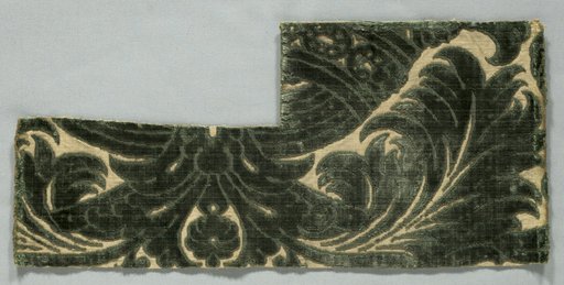 Velvet Fragment