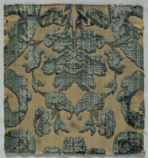 Velvet Fragment