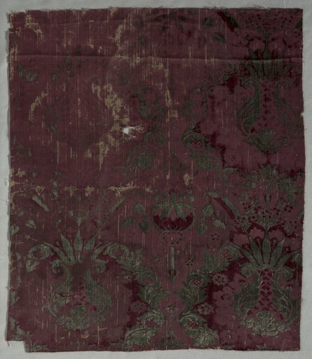 Velvet Fragment