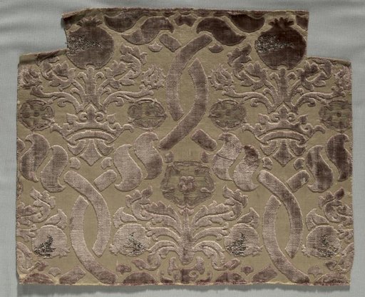 Velvet Fragment