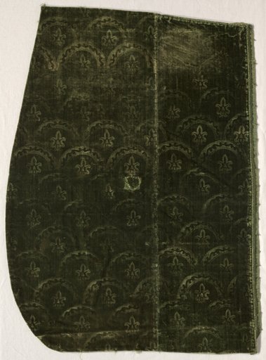 Fragment of Stamped Velvet